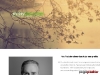 Preview by Thumbshots.com