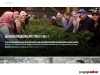 Preview by Thumbshots.com